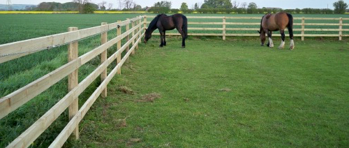 First Post Fencing Equestrian Fencing